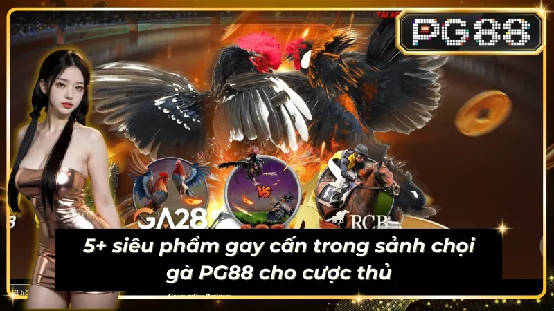 List 5 siêu phẩm ấn tượng tại Đá gà PG88